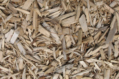 biomass boilers Heaton
